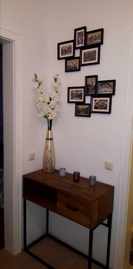 Apartament Mountain View